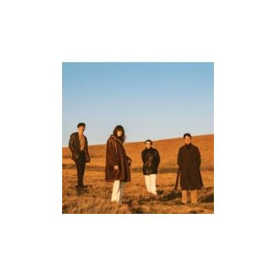 When You Walk Away - FUR LP