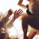 Animal - LUMP CD