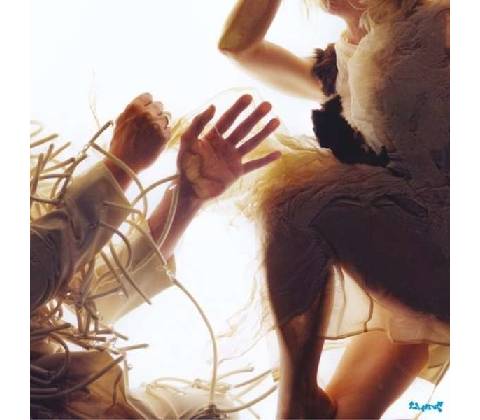 Animal - LUMP CD