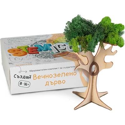 Stemico Образователен комплект Stemico - Вечнозелено дърво