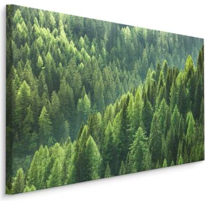 Plátno Zelený Jehličnatý Les Varianta: 30x20