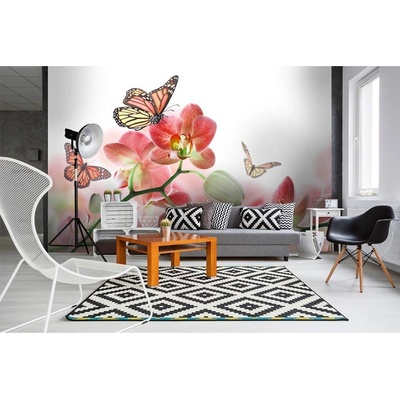 Dimex MS-5-0146 vliesová fototapeta na zeď Motýli a orchideje rozměry 375 x 250 cm