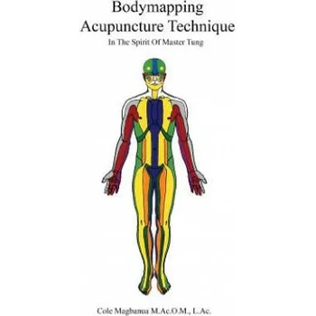 Bodymapping Acupuncture Technique: In the Spirit of Master Tung