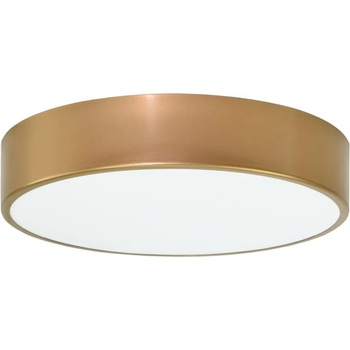 Image 1 of Temar CLEO TM0038