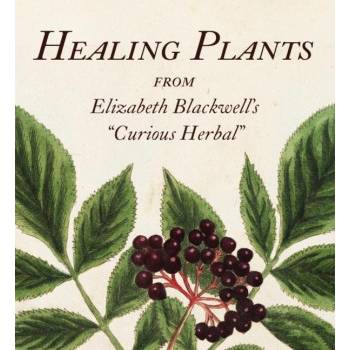 Healing Plants: From Elizabeth Blackwell's a Curious Herbal