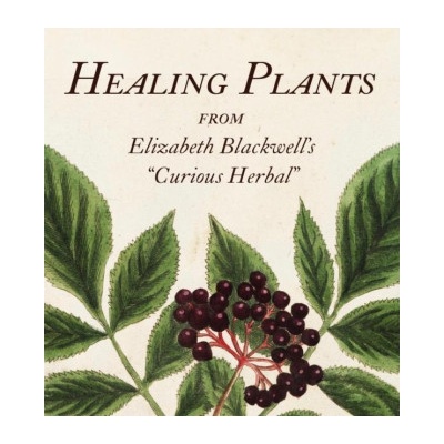 Healing Plants: From Elizabeth Blackwell's a Curious Herbal | Marta McDowell