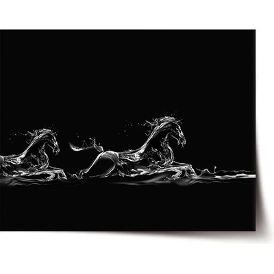 Sablio Plagát Vodný kôň - 90x60 cm