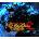 Neverwinter Nights 2 (Enhanced Edition)