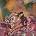 Kali Uchis - Sincerely, (CD) (0602475438915)