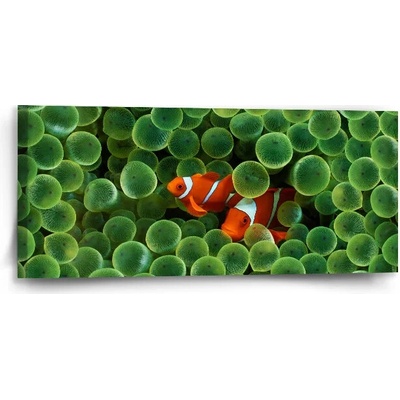 Sablio Obraz Klaun očkatý - 110x50 cm