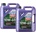 LIQUI MOLY Synthoil Race Tech GT1 10W-60 2x5 l