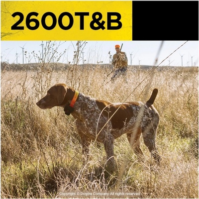 Dogtra 2600 T&B