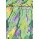 Nunofilcování