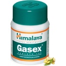 Himalaya Herbals Gasex 100 tabliet