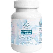 Herbalus Magnesium PRO SPÁNEK 90 tablet