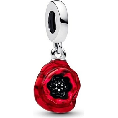 Pandora 793917C01