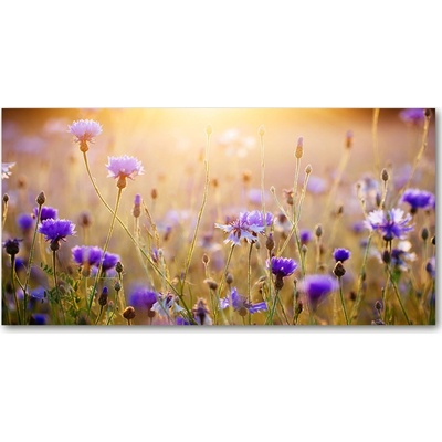 Foto obraz sklo tvrzené Plolní kvety 100x50 cm