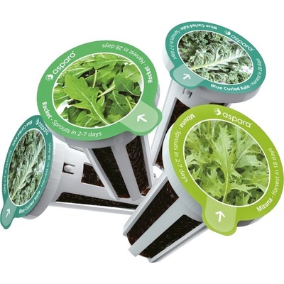 Sazenice Aspara Seed Kit Speciální Výběr Salátů (KSS0001)