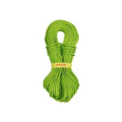 Tendon Ambition CS 9,8 30 m