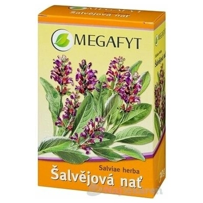 Megafyt Bylinková lékárna Šalvěj nať 30 g
