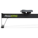 Concept2 D RowErg PM5