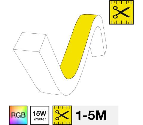 TLG SM16031