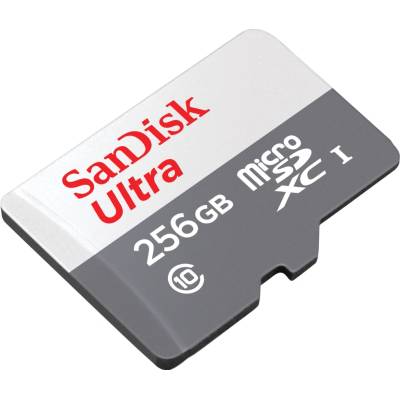 SanDisk microSDXC UHS-I 256GB SDSQUNR-256G-GN3MN