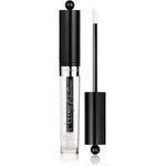 Bourjois Fabuleux Gloss подхранващ блясък за устни цвят 01 GLOW'BLLY CHIC 3.5ml