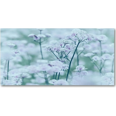 Moderný sklenený obraz z fotografie jarmanka väčšia 100x50 cm
