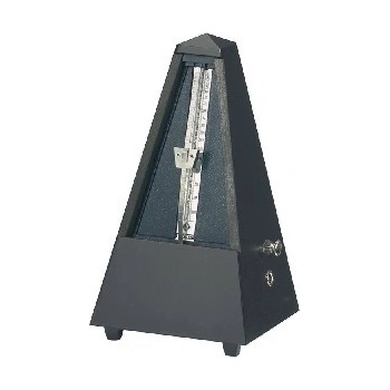 WITTNER 816M