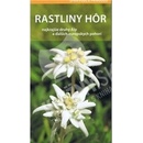 Rastliny hôr