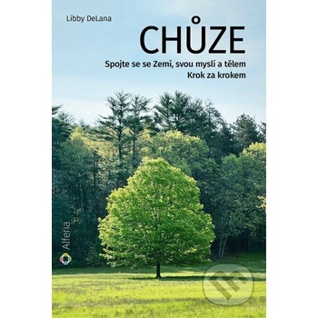 Chůze