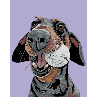 zuty Malování podle čísel Pes s golfovým míčkem 40 x 50 cm vypnuté plátno na rám 8596530010937
