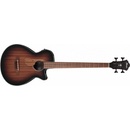 Ibanez AEGB24E