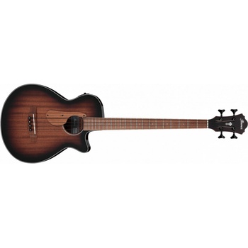 Ibanez AEGB24E