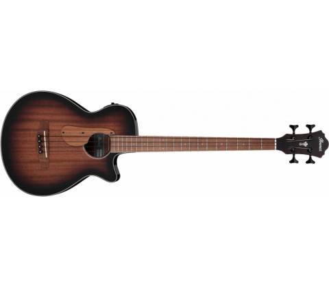 Ibanez AEGB24E
