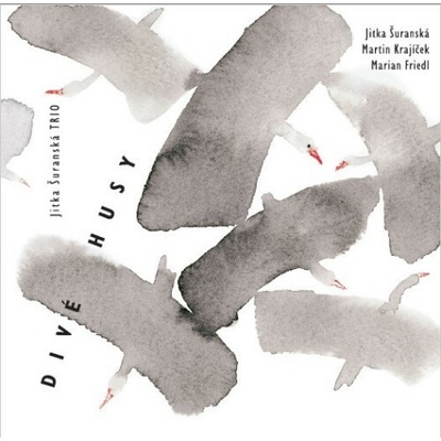 SURANSKA JITKA TRIO - DIVE HUSY CD