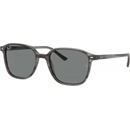 Ray-Ban RB2193