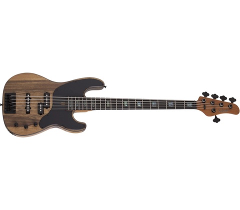 Schecter T 5