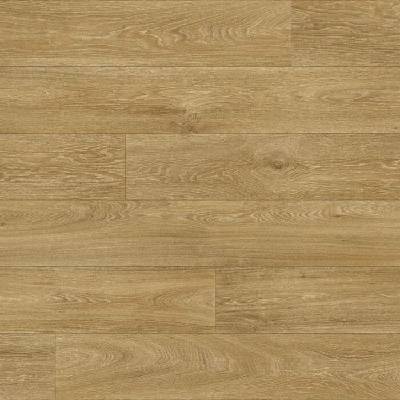 Beaulieu A1 Long Life Pro Master X 2953 4 m 1 m²