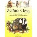 Zvířata v lese