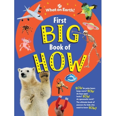 First Big Book of How - Symes Sally
