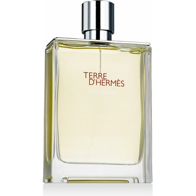 Hermès Terre D'Hermès Eau Givrée parfémovaná voda pánská 175 ml plnitelný