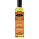 JOYDIVISION Kama Sutra Aromatic Massage Oil 236ml Almond