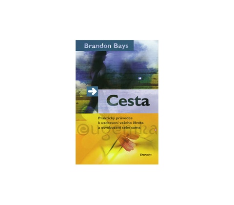 Cesta - Brandon Bays