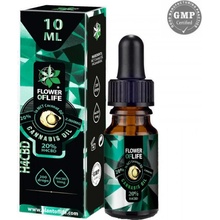 Plant Of Life H4CBD Kokosový olej s H4CBD 20% 10 ml