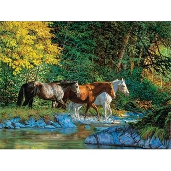 Image 1 of Диви коне 40/50 см