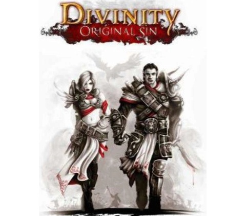 Divinity: Original Sin (Enhanced Edition)