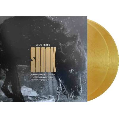Algiers - Shook (Limited Edition) (Gold Coloured) (2 LP) (0191401178402)