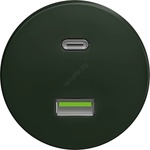 Reblig - Ретро USB гнездо A+C без рамка, зелено (RG0091)